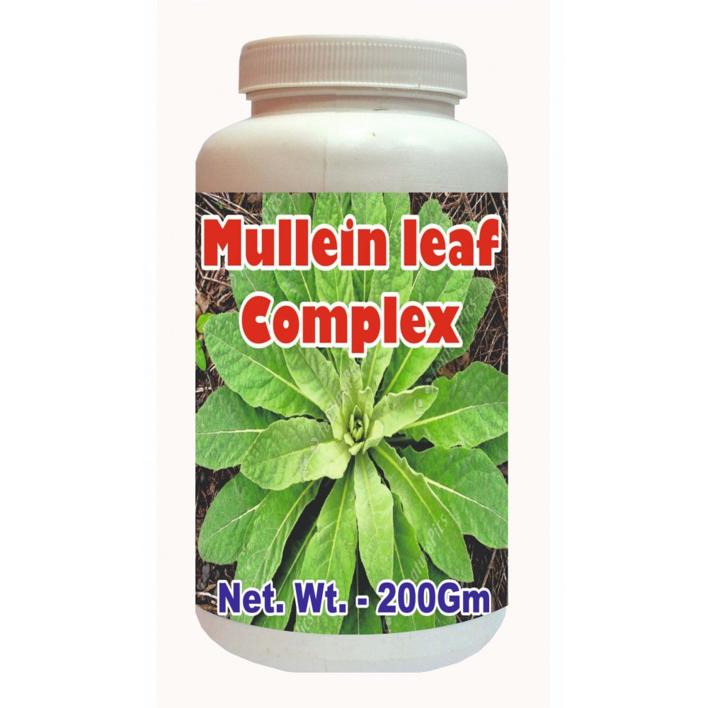In malay leaf mullein MULLEIN ORGANIC