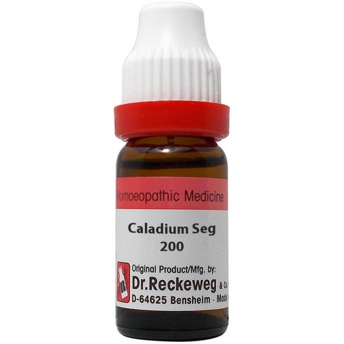 Buy Dr. Reckeweg Caladium Seguinum 200 CH Dilution | ShopHealthy.in