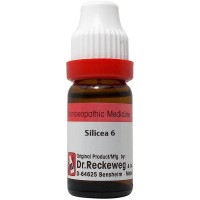 Buy Dr Reckeweg Silicea 6 Ch Dilution Shophealthy In