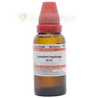 Buy Dr Reckeweg Caladium Seguinum 30 Ch Dilution Shophealthy In